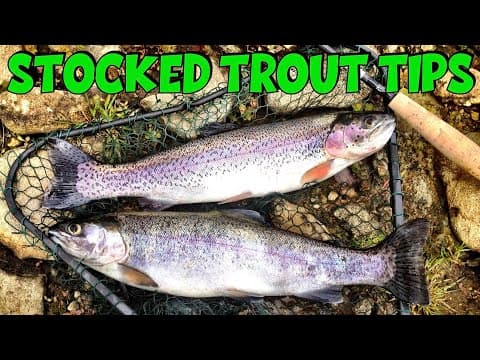 Top 10 Stocked Trout Fishing Tips