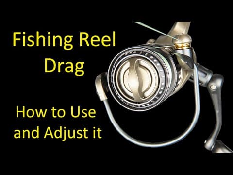 How to Use and Adjust Fishing Reel Drag Systems