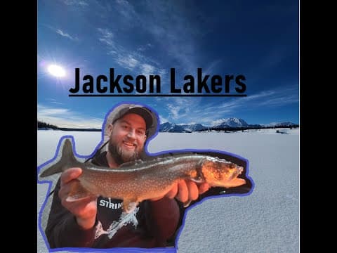 Lake Trout on Jackson Lake WY [24HR Overnighter]