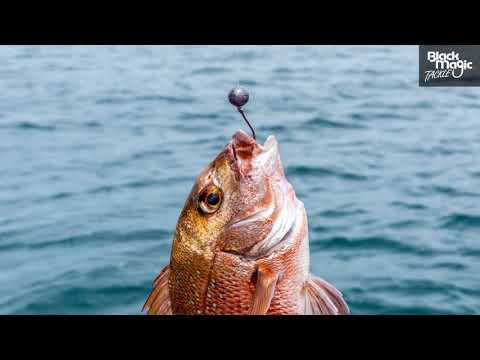 How to choose your fishing hook and how to use it