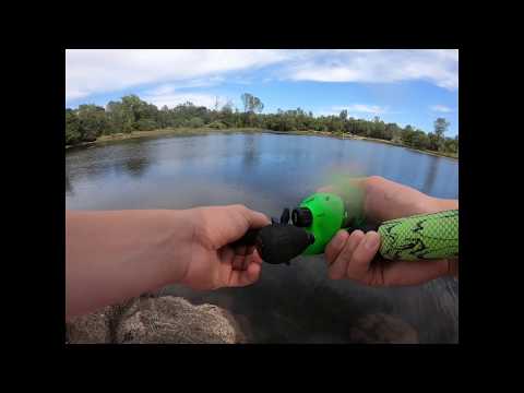 Lake Natoma Hogs