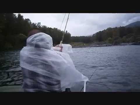 Catching a nice bull trout with a jammed strike indicator