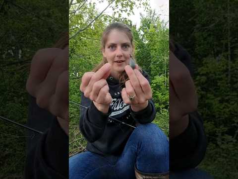 Setting up your fishing line | Sinker Set #fishing #setup #tutorial #howto #fisherman #short #diy