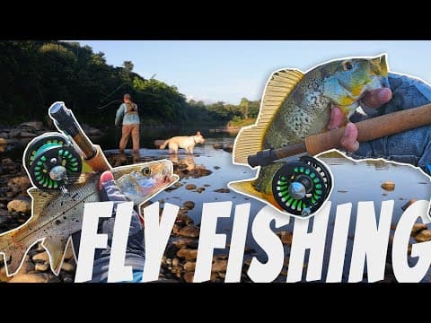 Pesca a Mosca en Rio de Puerto Rico con mi mascota Snow #Flyfishing #Puertorico #Pescadeportiva