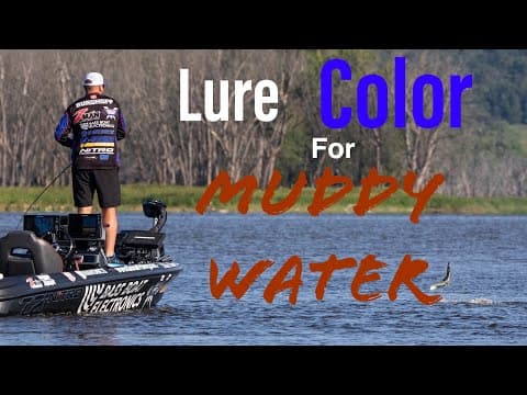 These Are Lure Colors You Need To Try For BIG BASS In MUDDY WATER!!