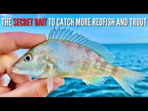 The Secret Bait To Catch BIG Redfish & Speckled Trout