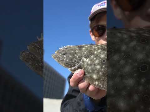 Winter Surf Casting Myrtle Beach!