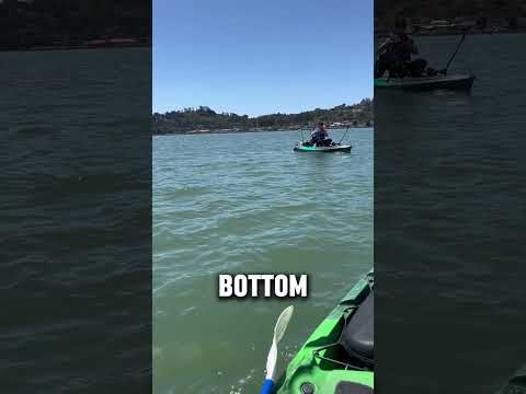 Best Halibut Lures!