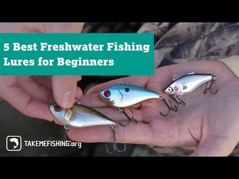 5 Best Freshwater Fishing Lures for Beginners