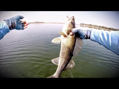 Early Spring Walleyes — Fishing Edge TV