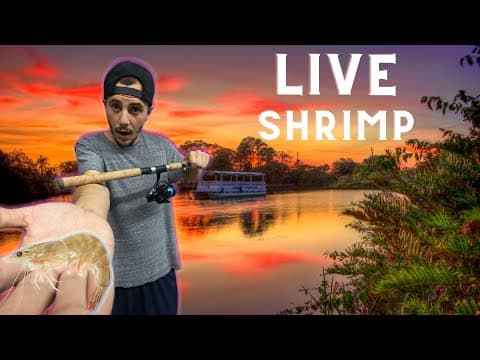 Backyard Fishing with Live Shrimp (St. Lucie River, Florida)