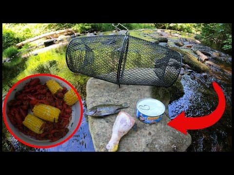 Catch & Cook: Crawfish (What's the best bait?)