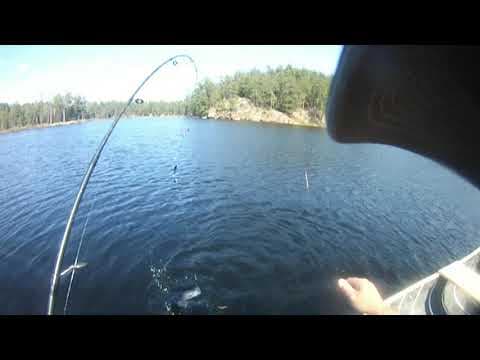 Brook Trout fishing first week of September