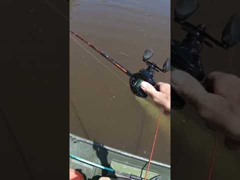 MUSKY!!!!