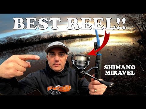 The Best Budget Reel!! Shimano Miravel 2500HG #shimanofishing #smallmouthbassfishing #fishing