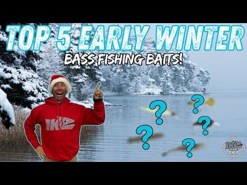 Top 5 Baits for EARLY Winter Bass Fishing You Need to Try!