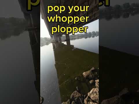 YOU Are Fishing The Whopper Plopper WRONG!