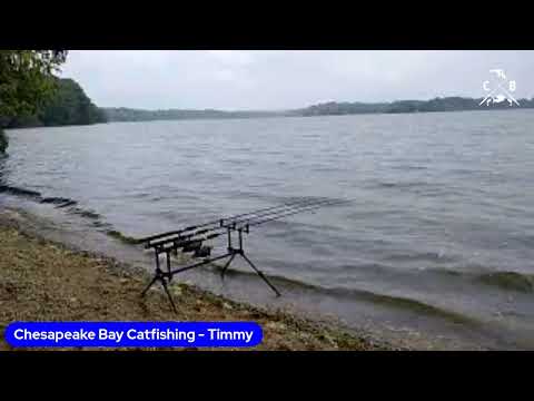 Carp fishing swan creek Maryland/ Time Stamp for catch in description
