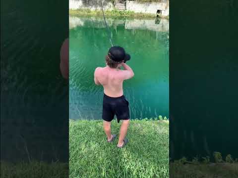 HOW TO CATCH GRASS CARP!