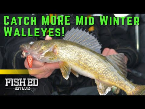 How to FIND and CATCH Walleye on Midwinter Structure – Fish Ed