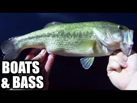 Avoiding Bass Boats While Bank Fishing for Bass - Realistic Fishing!