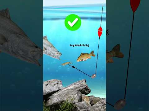 DIY RIG FISHING AND SET FISHING BAIT #fishing #fishingknot #tutorial