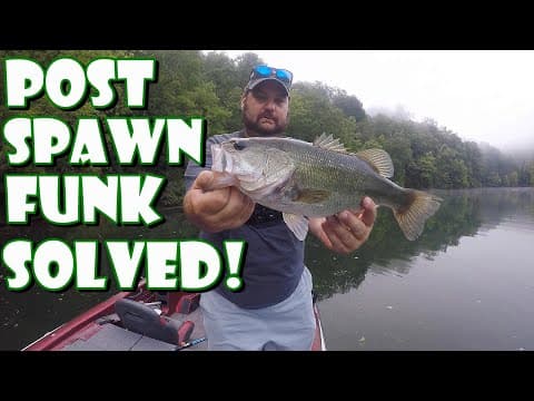 Where Did The Big BASS GO? Post Spawn Funk SOLVED!