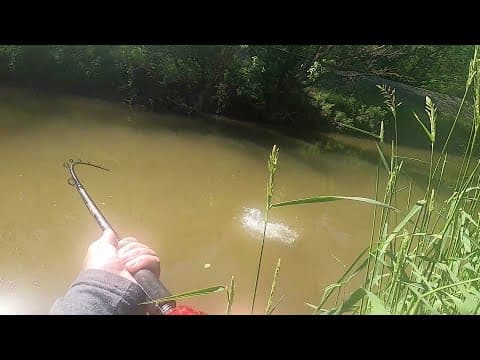 How To Catch Musky From The Bank (Without Breaking The Bank)