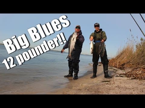 Big Blue Fish on Long Island's South Shore - Saltwater Fishing Long Island