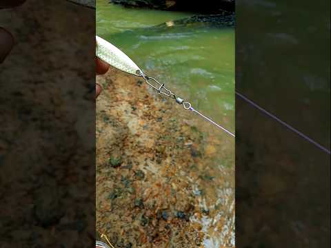 How to properly set up a fishing lure #fishing #fishingknot #lure #fishinglures #tutorial