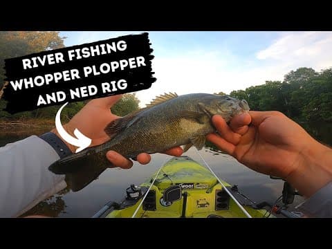 Smallmouth Crushing The Whopper Plopper and Ned Rig! | River Fishing