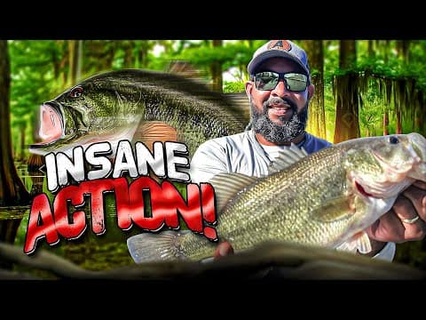 Catching TONS of BASS in the MOST POPULAR spot in Lake Verret | Louisiana