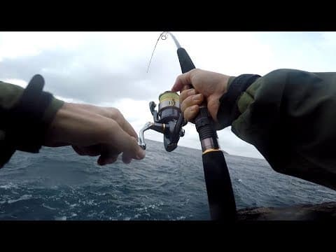 Shore Jigging in Italy -  Catch &amp; Release