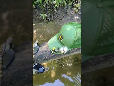 Fishing the lower Gunpowder river (cicada time)