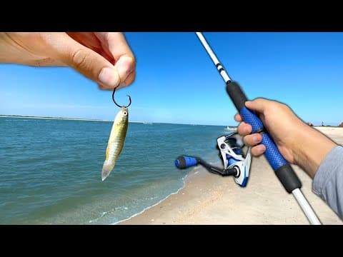 Fishing w/ MUD MINNOWS off the BEACH!! (Saltwater Fishing)