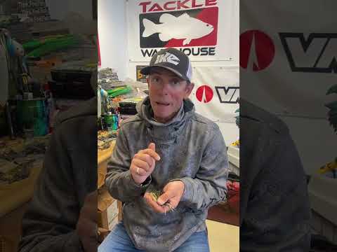 Top 4 April Bass Fishing Baits!!!