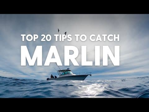 How To Catch Marlin in Sydney with Rod Findlay