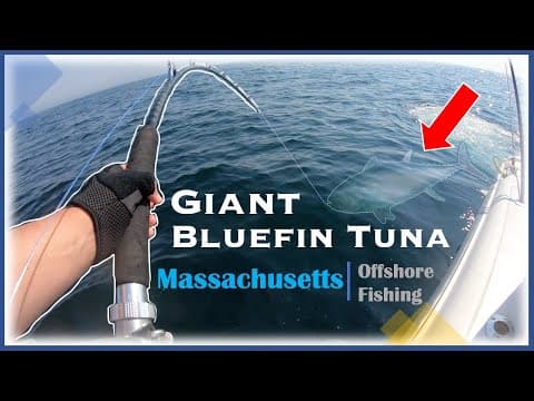 Fishing for Giant Bluefin Tuna in Massachusetts