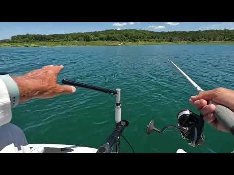 Bull Shoals 40 minute walleye limit