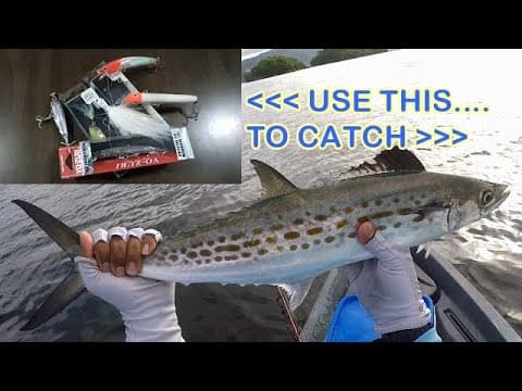 BEST LURES for SPANISH MACKEREL - When & How to Use Artificial Baits to Catch More Fish!