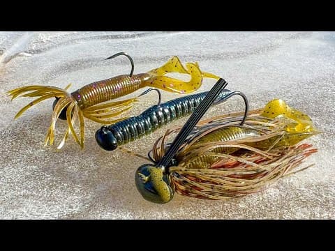 WINTER FINESSE Fishing Tricks! How To Catch Bass NOW!