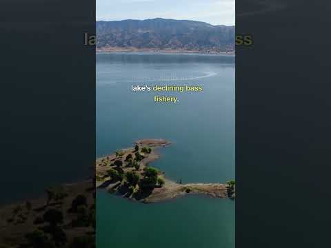 Top 25 Best Bass Lakes in the West - 2 Lake Berryessa #bassfishing #fishing #bestbasslakes