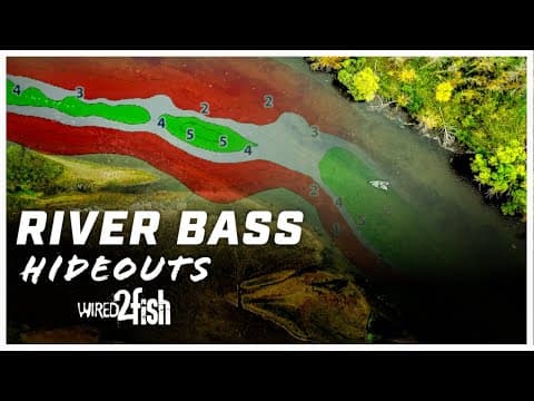4 Essential Tips For Finding Bass In the River