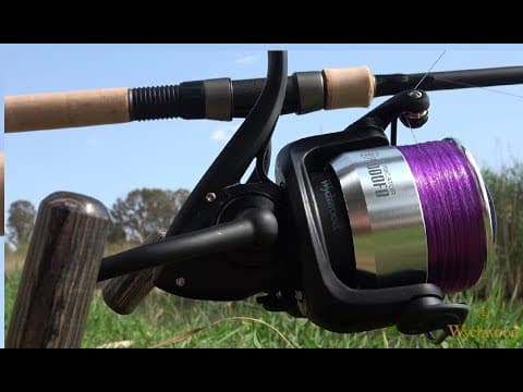 Guide to Carp Fishing  Rods and Reels S1E4