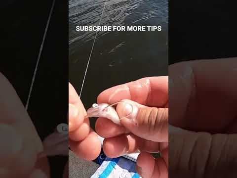 How I Hook My Minnows For Crappie Fishing #shorts