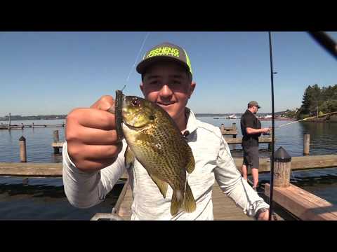 Fishing Public Piers at Lake Washington