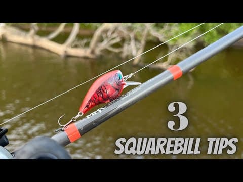 3 Squarebill Crankbait Tips To Increase Bites And Improve Hookups!