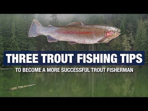 3 Advanced Trout Fishing Tips and Tricks - Become A Better Trout Fisherman