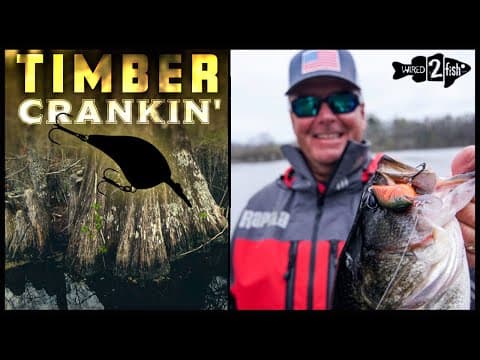 Cranking Timber for Prespawn Bass | Round Bill vs. Squarebill