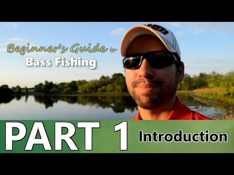 Beginner's Guide to Bass Fishing